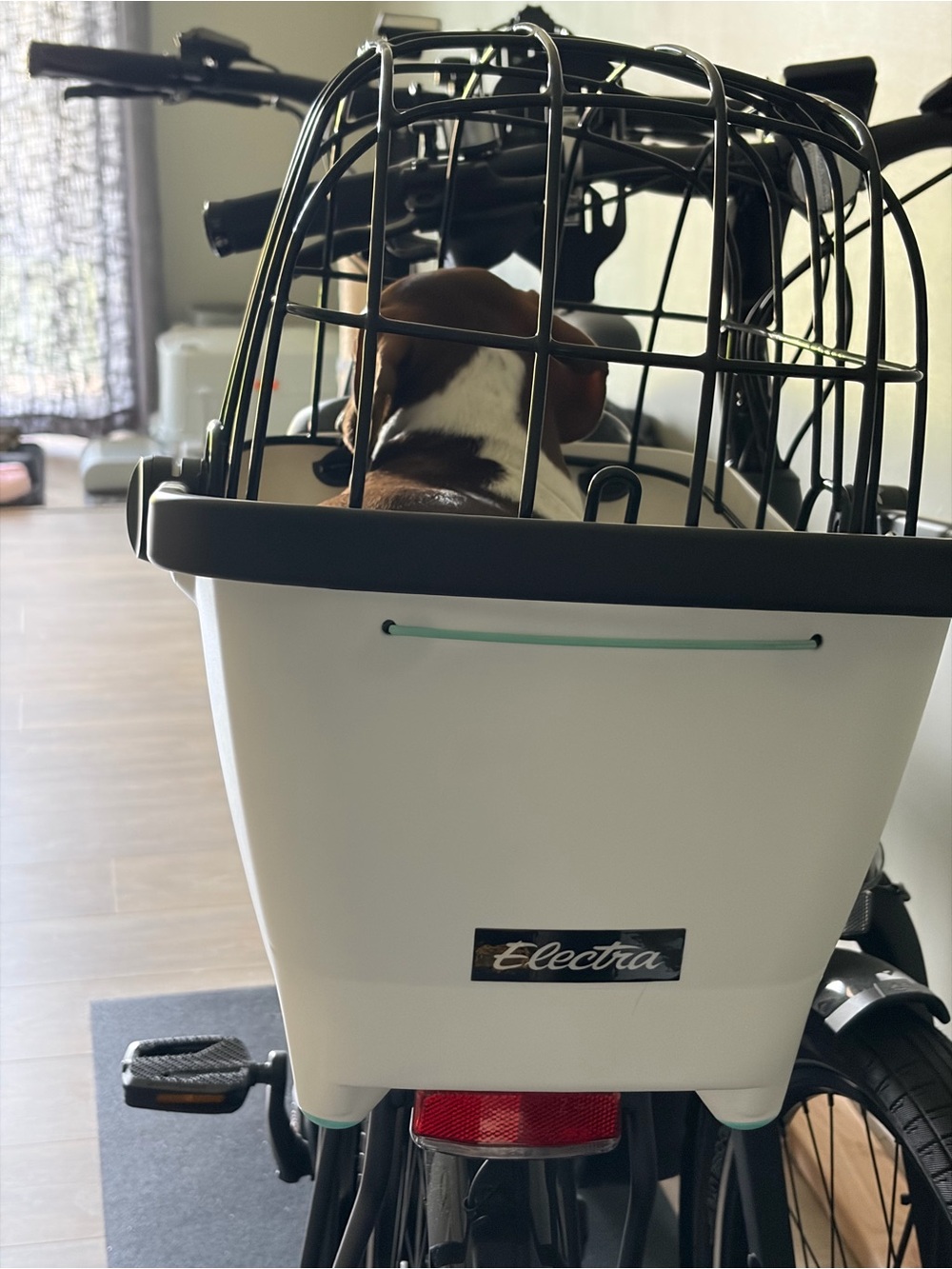 White Pet Carrier Basket with Black Cage - Picture 2 of 14